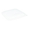 Produktbild rPET Deckel f&uuml;r Bagasse Schalen 4849132, 4849148, 4849348