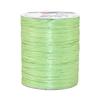 Produktbild Bastband Rayon Raffia Rhabarber &ndash; 100 m Spule