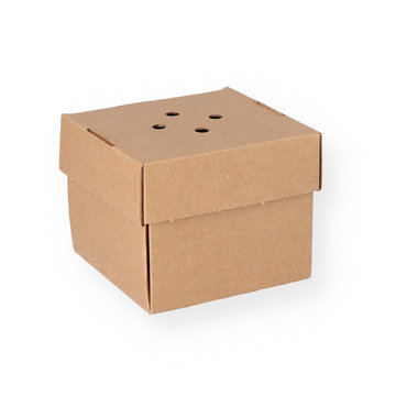 Burger box cardboard brown