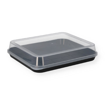 Sushi box reusable