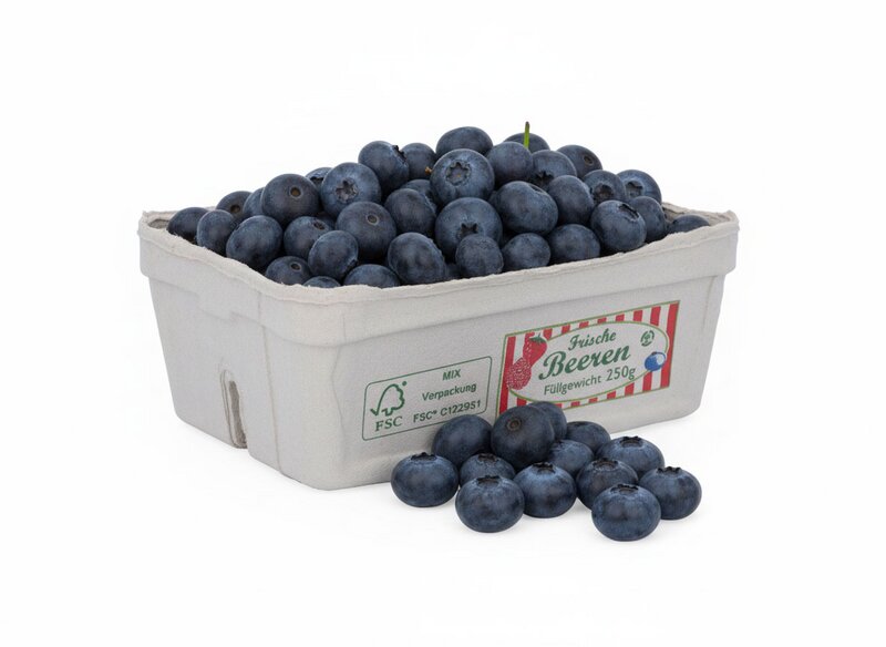 Fruit trays 250g soft fruit groundwood "Fresh berries" packaging trays 