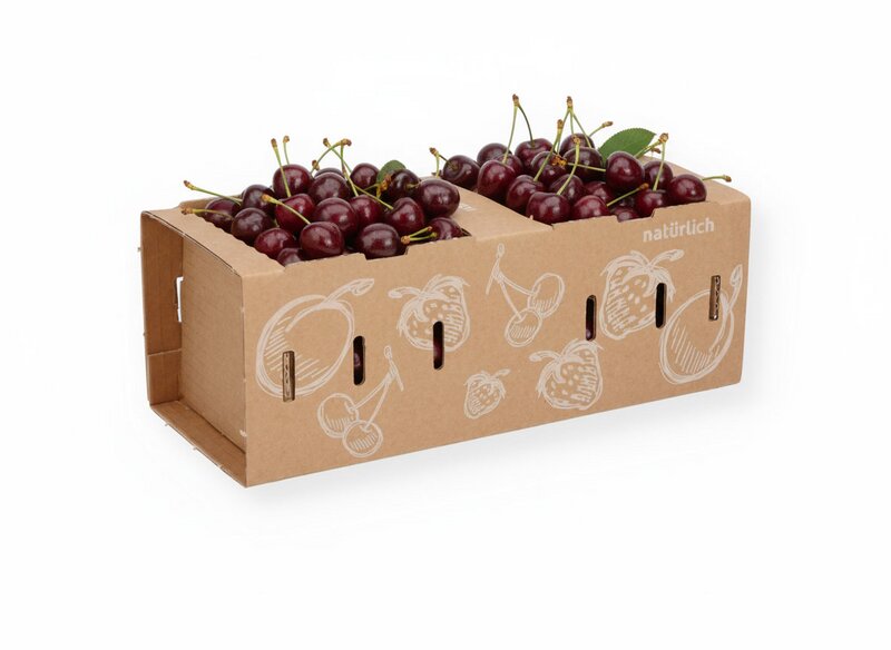 Obstk&ouml;rbe aus Pappe mit integriertem Griff F&uuml;llmenge 1.000 g 