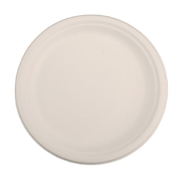 Bagasse plate white round 261x21mm