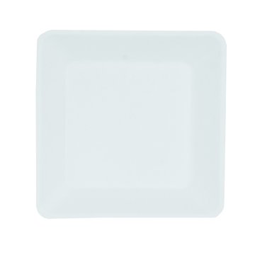 Teller Bagasse quadratisch